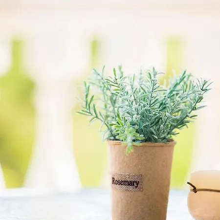 Apartament Sveti Vlas Apartments Święty Włas