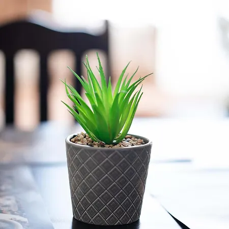 Apartament Sveti Vlas Apartments *