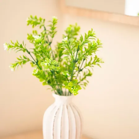 Sveti Vlas Apartments * Święty Włas