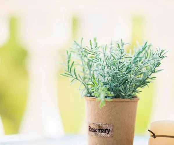 Apartamento Sveti Vlas Apartments Sveti Vlas