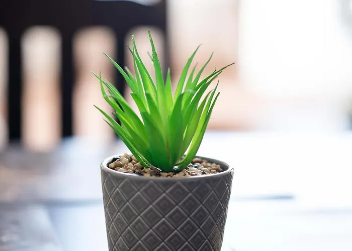 Apartamento Sveti Vlas Apartments *