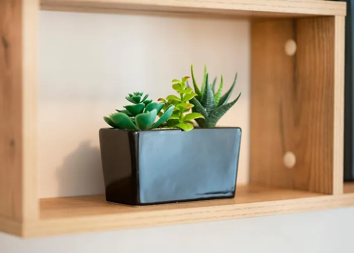 Sveti Vlas Apartments * Sveti Vlas