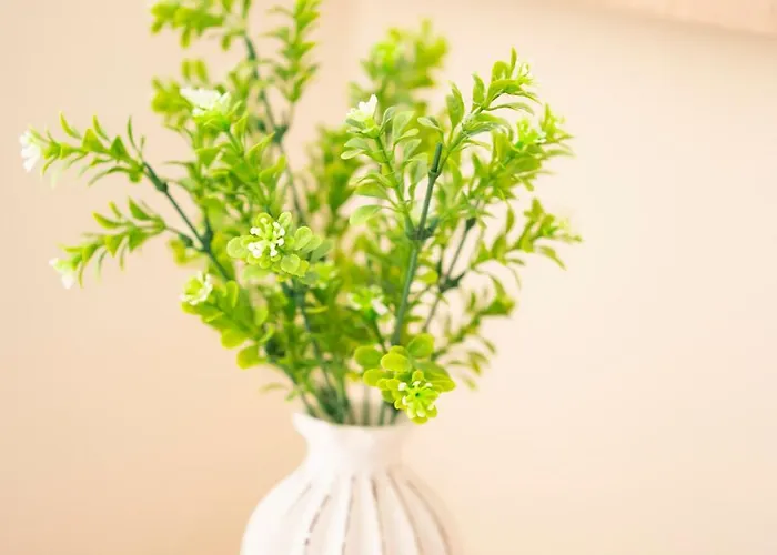 Sveti Vlas Apartments * Sveti Vlas